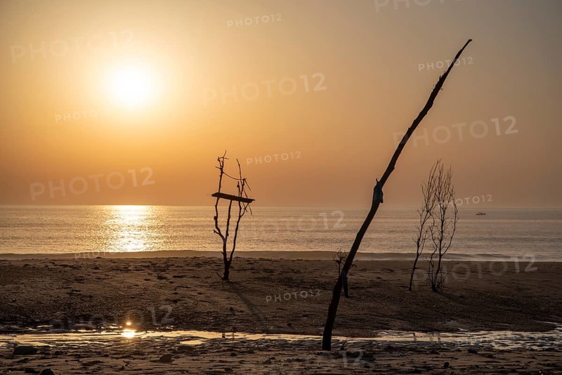Abstract sculpture made of driftwood stands in the evening light on the beach