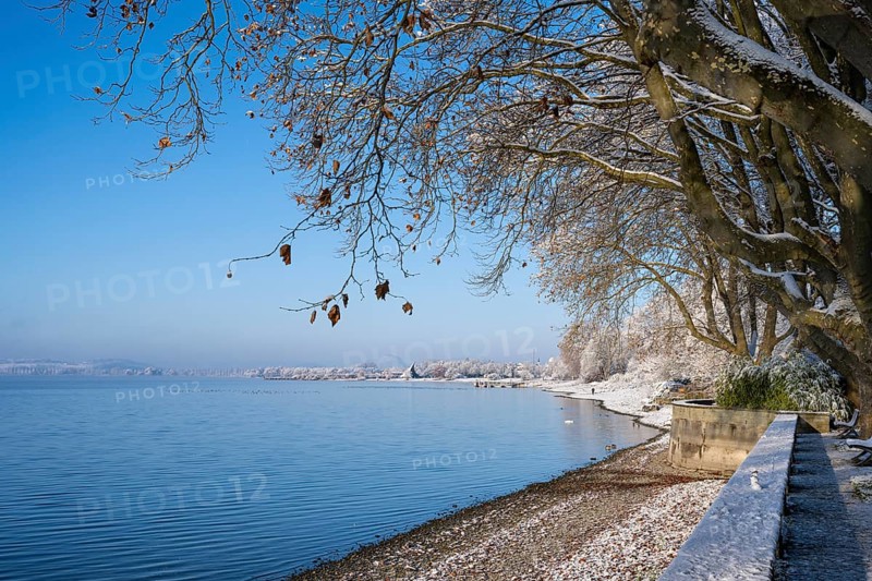View of Lake Constance from the snow-covered Mettnaupark