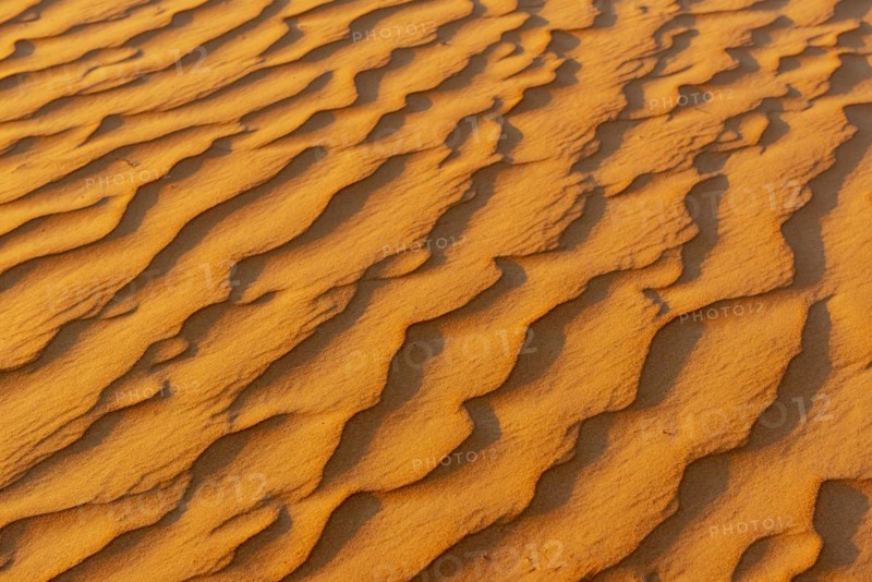 Natural patterns and ripples in the sand