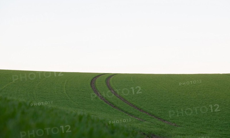 Land consolidation in agriculture