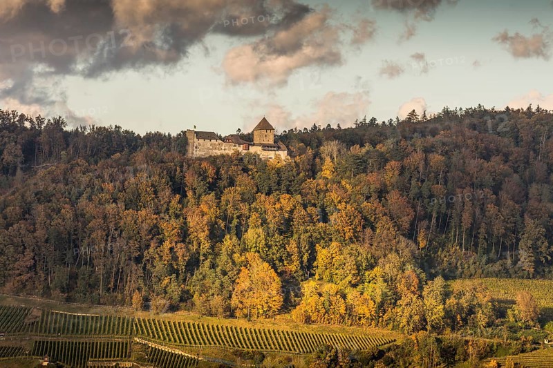 View of Hohenklingen Castle