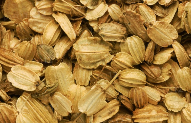 Medicinal herbs