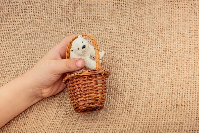 Hand holding a Polar bear model in hand on canvas