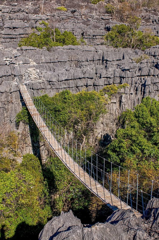 Hanging bridge in the Tsingy plateau in the Ankarana Special Reserve
