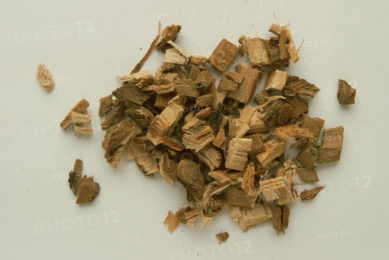 Medicinal plant