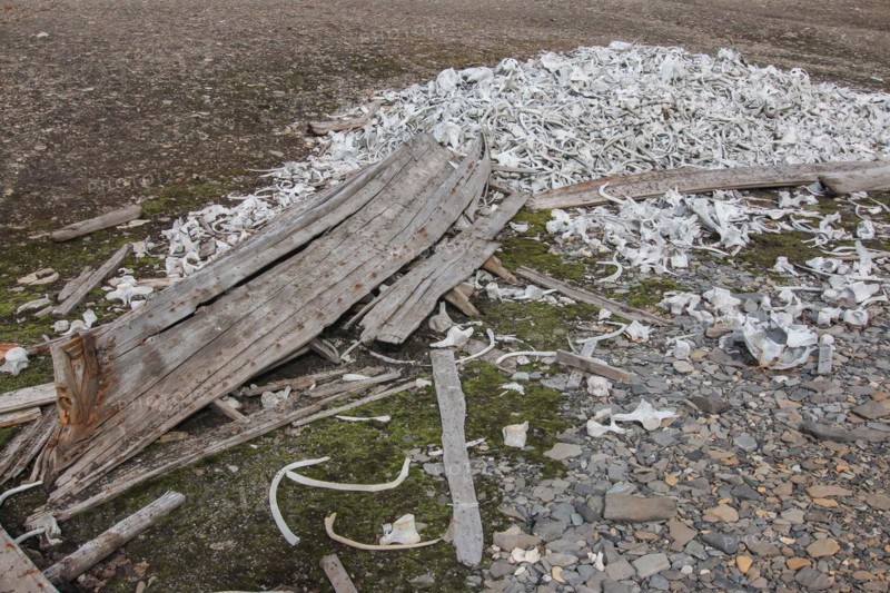 Former whaling station Bamsebu in Bellsund