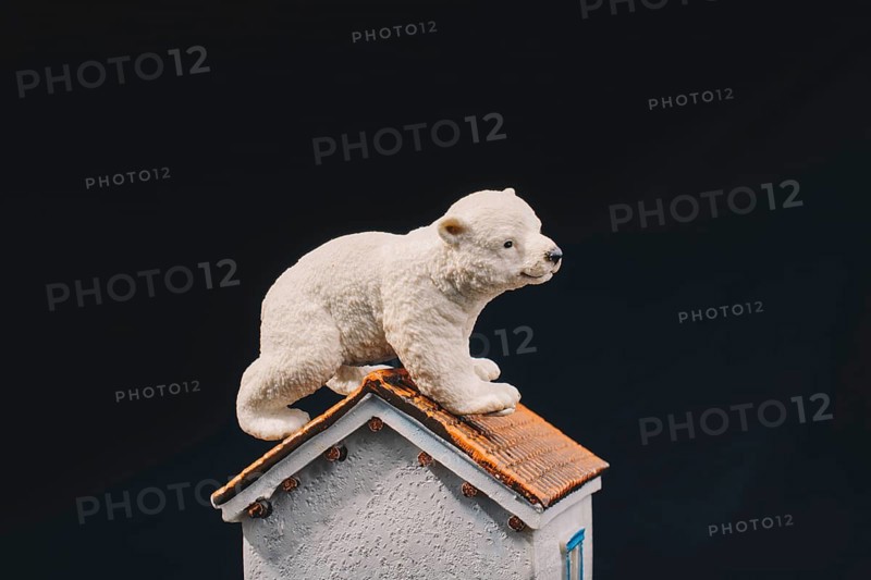 Polar bear model placed on a model house