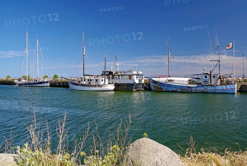 Small harbour with fishing boats