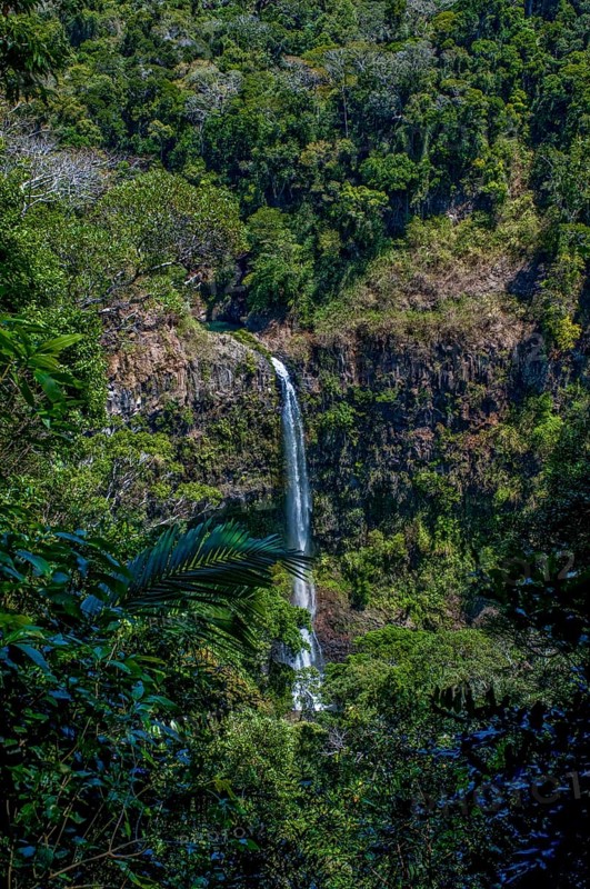Waterfall in the Montagne dÂ´Ambre National Park
