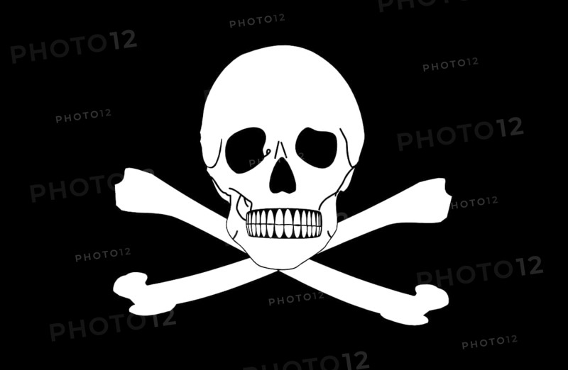 Pirate flag