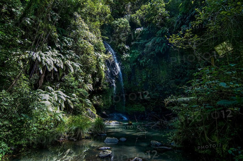 Waterfall in the Montagne dÂ´Ambre National Park