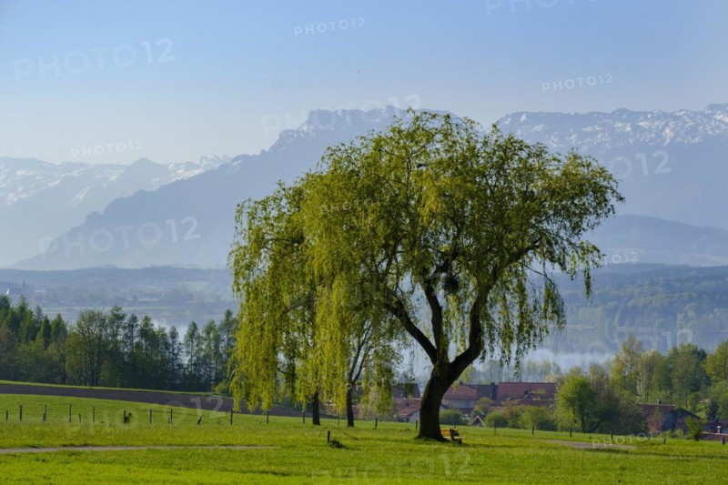 View from Bicheln