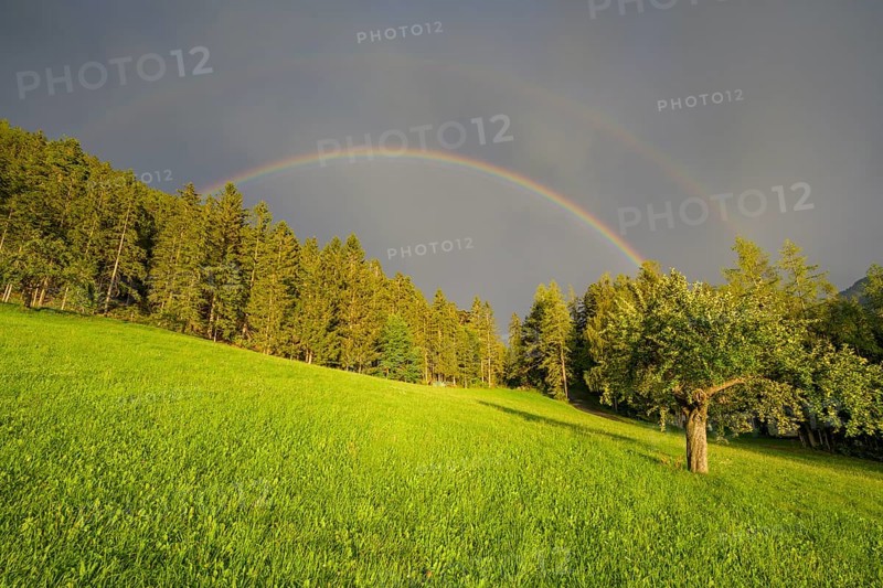 Double rainbow over meadow
