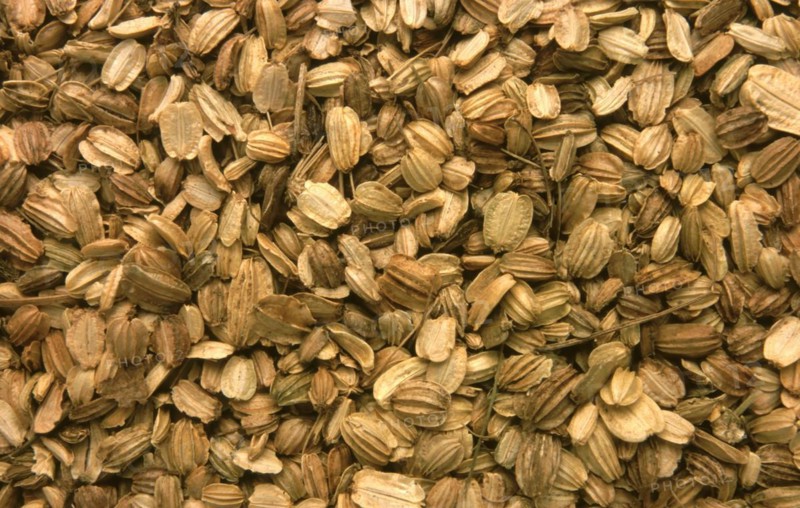 Medicinal plant