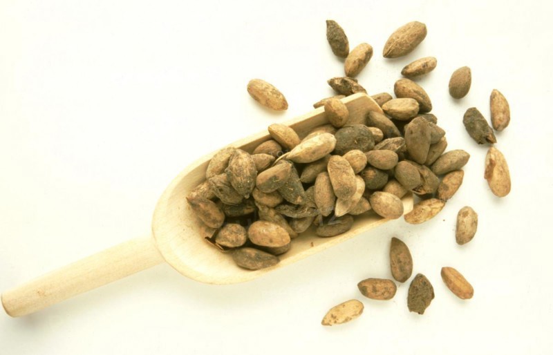 Natural remedies: neem
