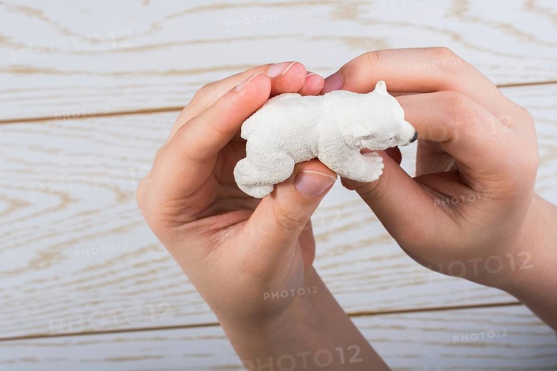 Hand holding a Polar bear model on a wooden background