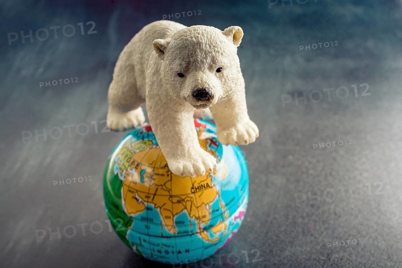 Polar bear model and a globe model in view