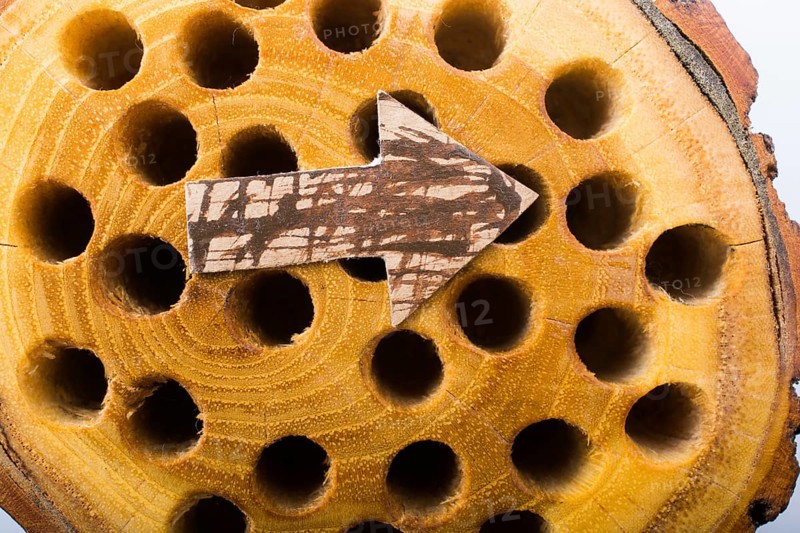 Arrow cut out of brown paper on wooden log