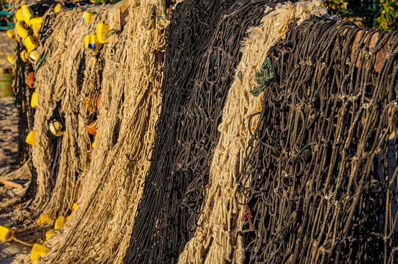 Fishing nets