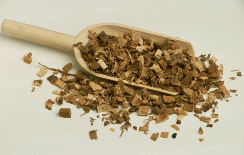 Medicinal plant