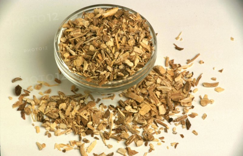 Soap root
