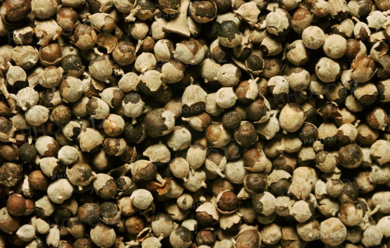 Medicinal herbs: chaste tree