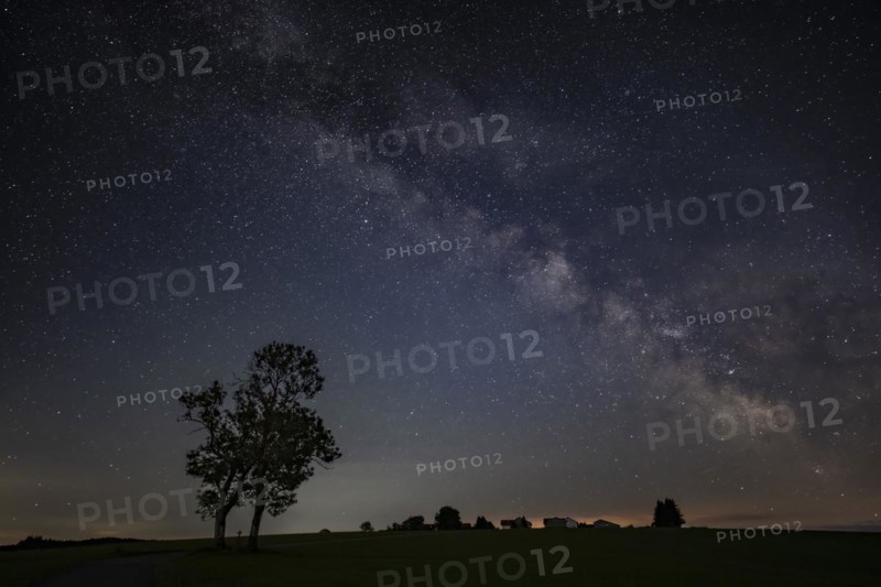 Group of trees with field cross with Milky Way and starry sky