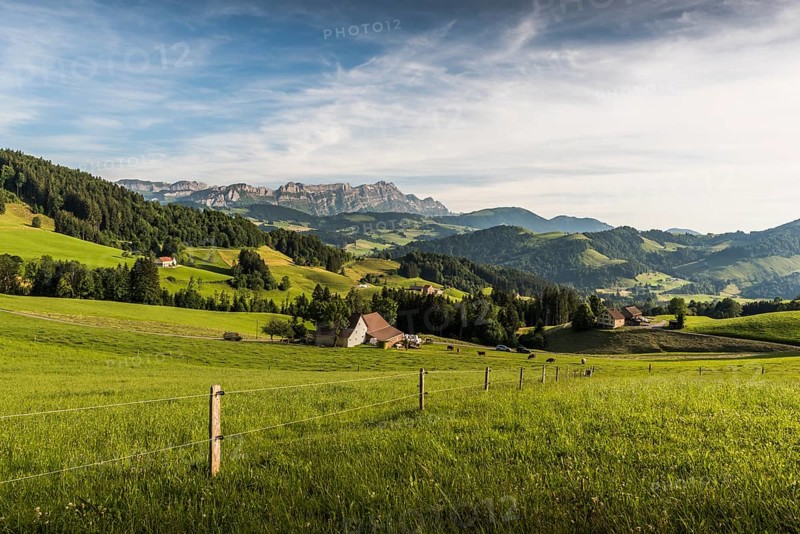 Green meadows and pastures in Appenzellerland