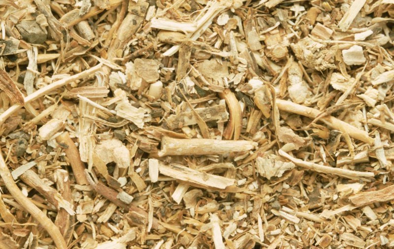 Medicinal herbs: Sarsaparilla root