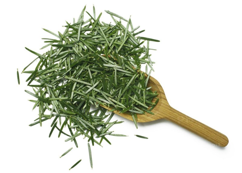 Natural remedy Fresh fir