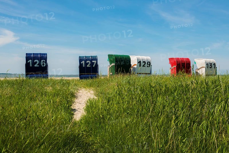 Beach chairs on the sandy beach