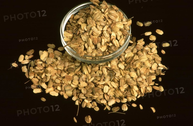 Medicinal herbs