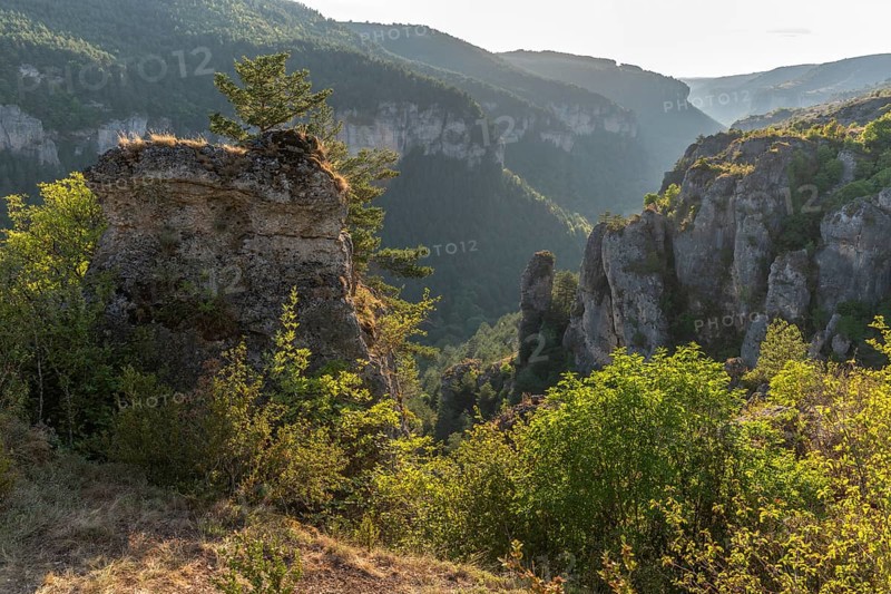 Gorges of Jonte in Cevennes National Park. Meyruies