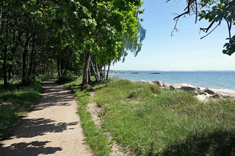 Narrow unpaved path leads along the sea