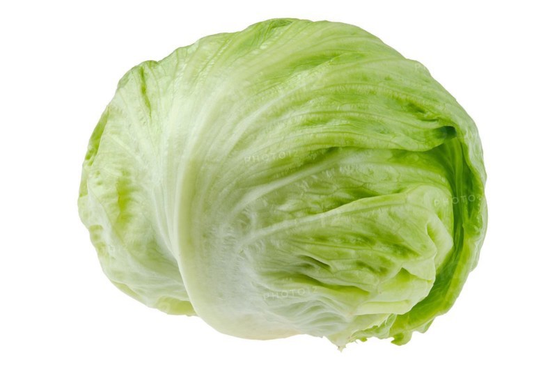 Whole big iceberg lettuce or crisphead lettuce isolated on white background