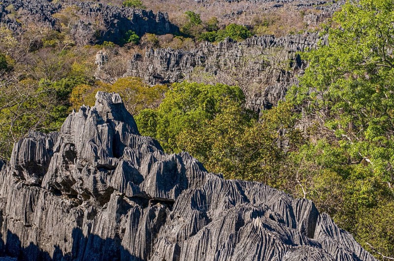 Tsingy plateau in the Ankarana Special Reserve