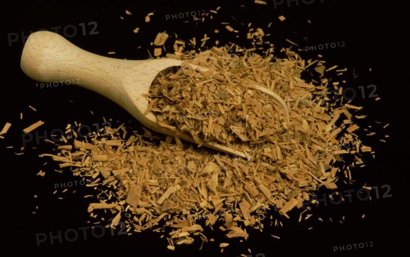 Medicinal plant