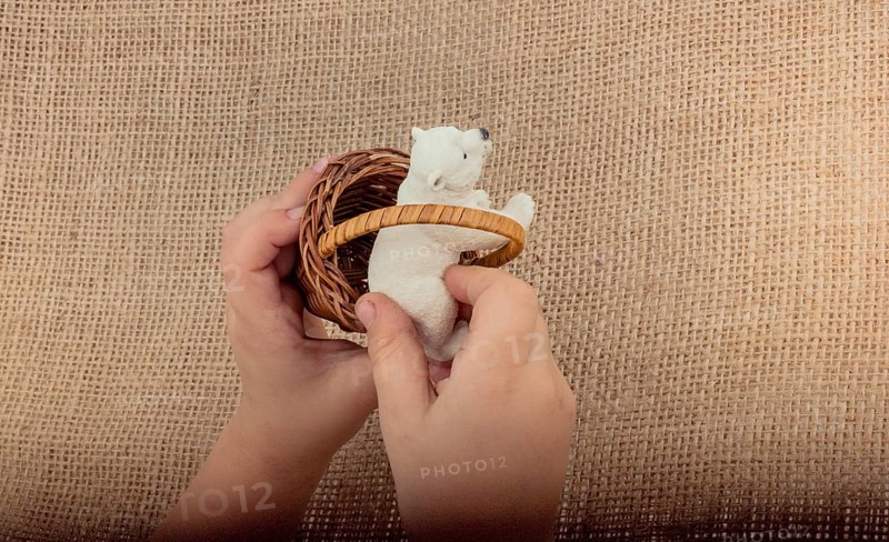 Hand holding a Polar bear model in hand on canvas