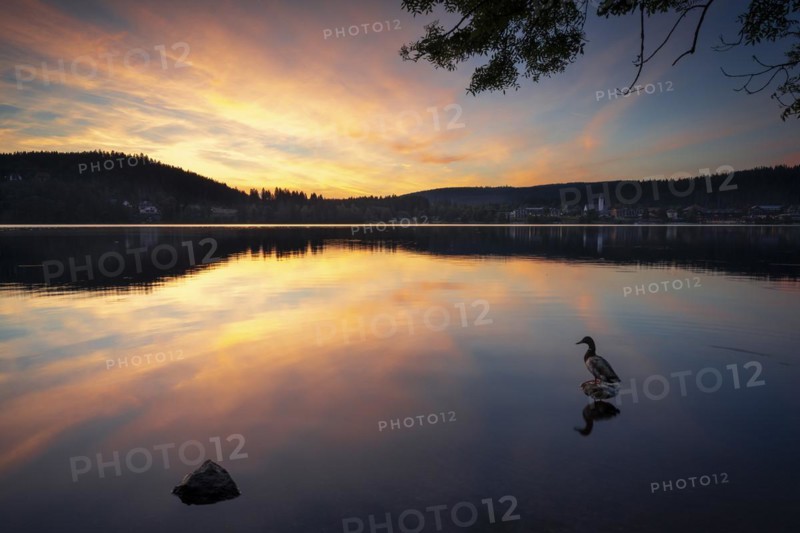 Lake Titisee at sunset