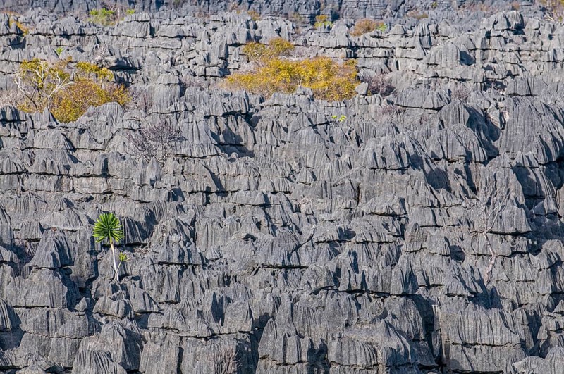Tsingy plateau in the Ankarana Special Reserve
