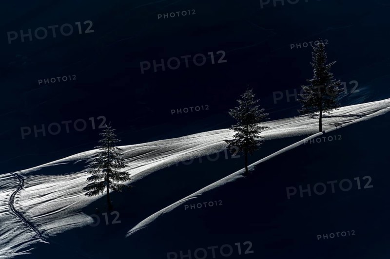 Backlit trees with ski touring track on snowy mountain meadow