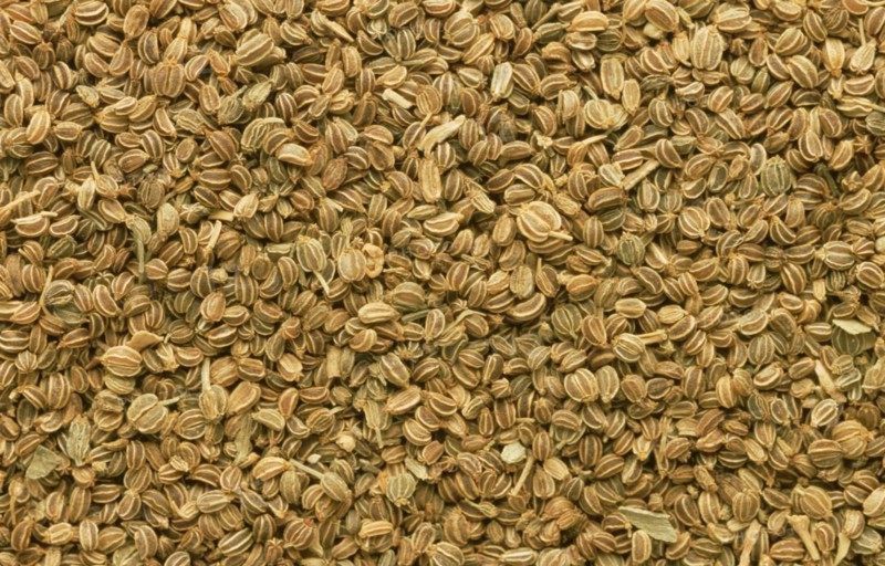 Medicinal herbs: celery