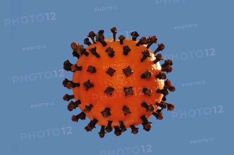 Simple model of an orange corona virus with clove