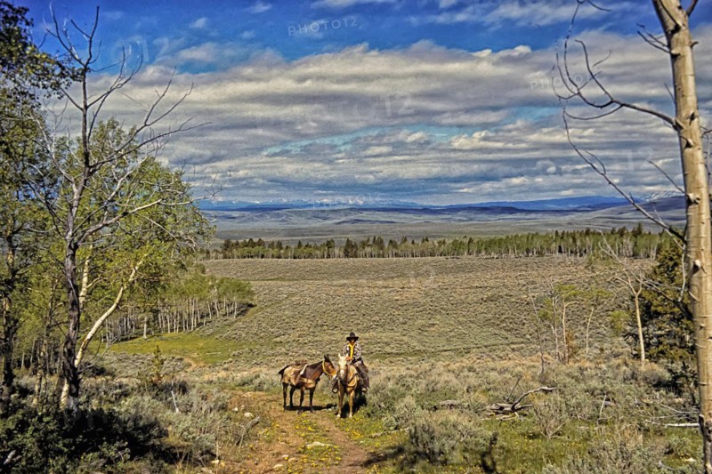 Cowboy with pack mule