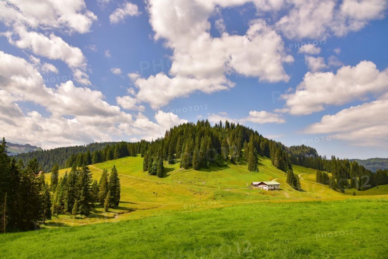 Alpine pasture in the Lochbach valley near Oberstdorf