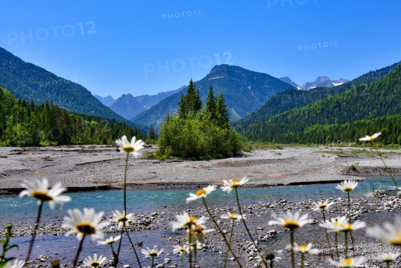 At the headwaters of the Isar near Vorderriss