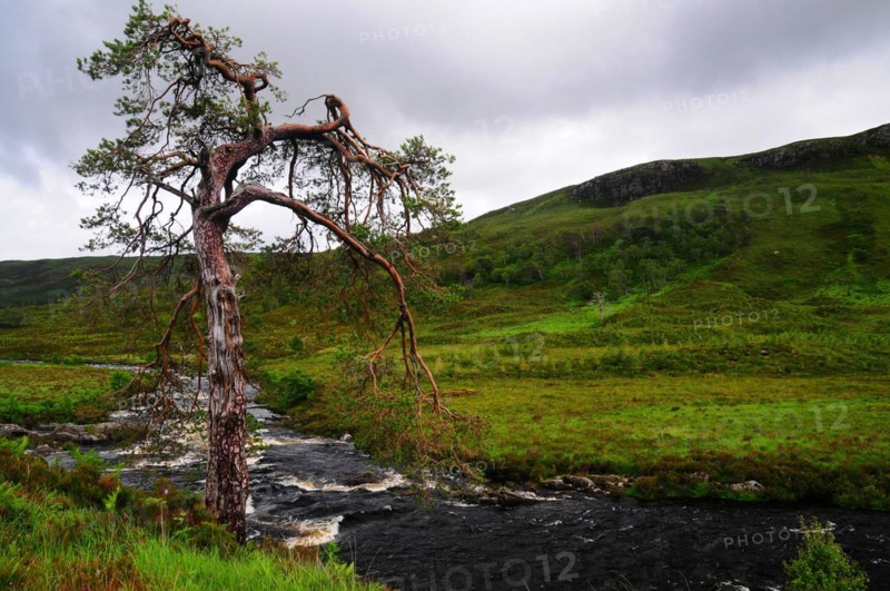 River Bran