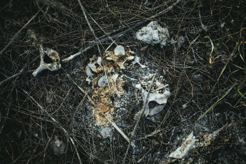 Human remains at a grave where the bodies of six civilians from Praviden were temporarily given a makeshift burial after being tortured and then executed by Russian soldiers