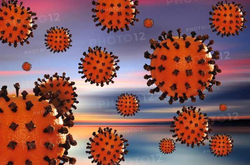 Composing with a model of a corona virus consisting of an orange spiked with cloves