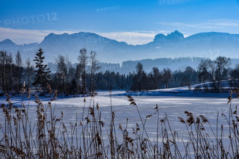 Ice-covered pond in the Allgaeu